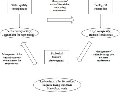 Analyzing the applicability of wetland ecological modes in the Minjiang Estuary wetland